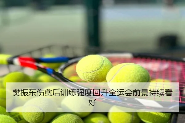 樊振东伤愈后训练强度回升全运会前景持续看好